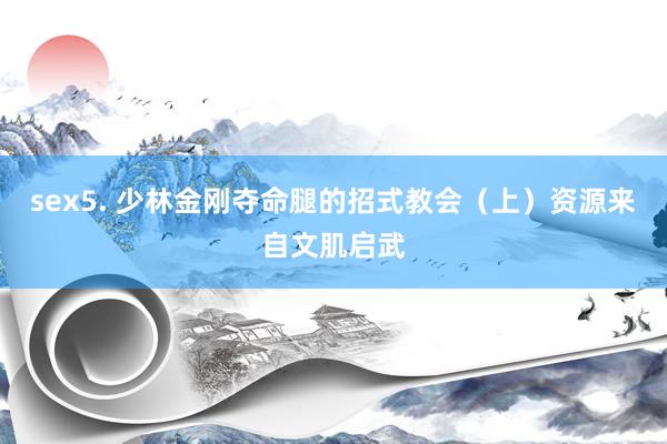 sex5. 少林金刚夺命腿的招式教会（上）资源来自文肌启武
