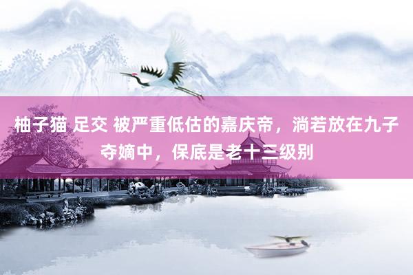 柚子猫 足交 被严重低估的嘉庆帝，淌若放在九子夺嫡中，保底是老十三级别