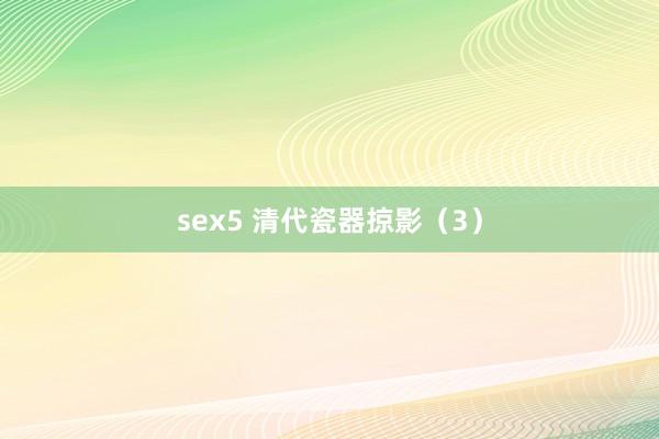 sex5 清代瓷器掠影（3）